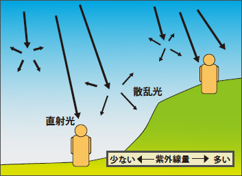 場所による紫外線の反射 山