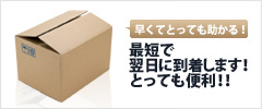 最短で翌日到着が可能！
