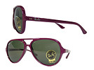 Ray Ban レイバン 4125 ブラックサングラス パープルフレーム