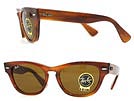 Ray Ban レイバン 4169 LARAMIE ブラウンサングラス